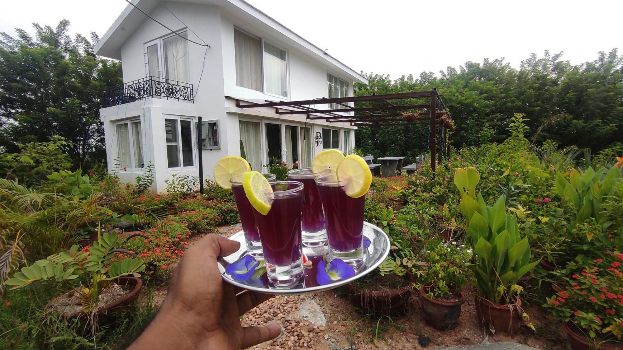Vaksana Farm Stay Gudraippattu Esterno foto