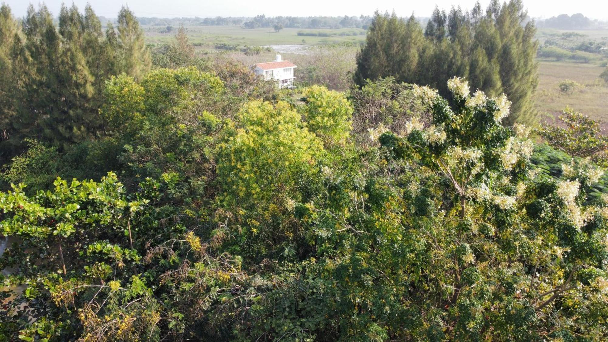 Vaksana Farm Stay Gudraippattu Esterno foto
