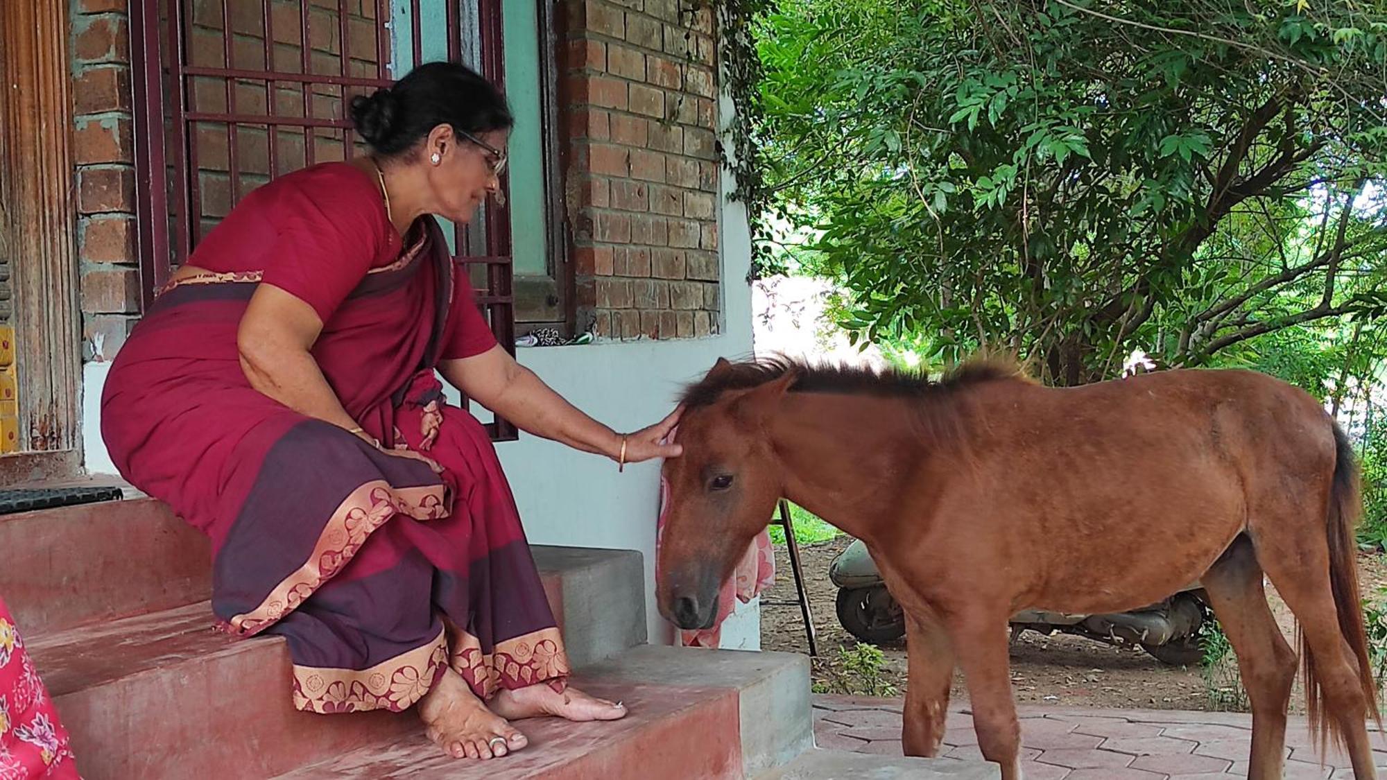 Vaksana Farm Stay Gudraippattu Esterno foto