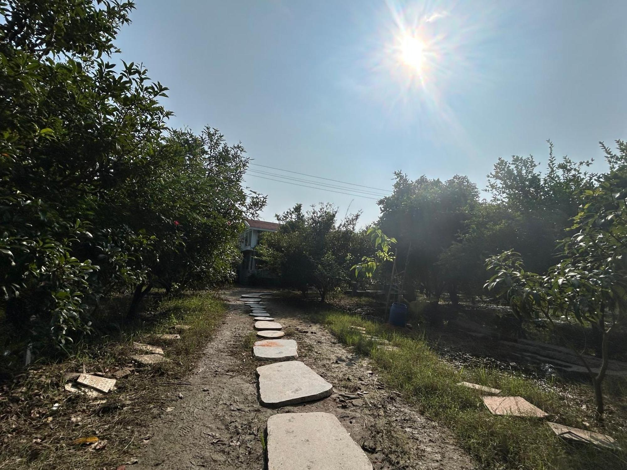 Vaksana Farm Stay Gudraippattu Esterno foto